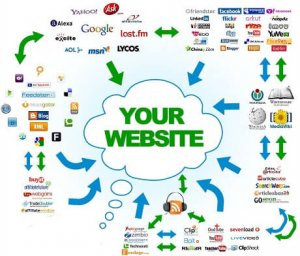 SEO Companies and SEO Services - Types of Backlinks